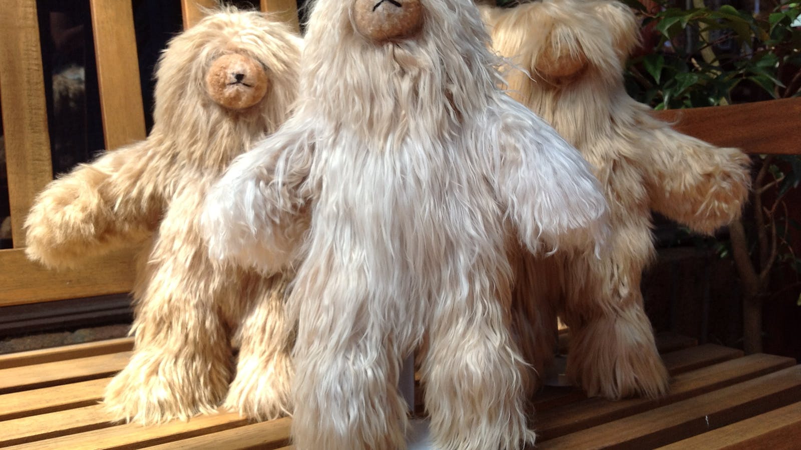 Australian Alpaca Barn - Morpeth