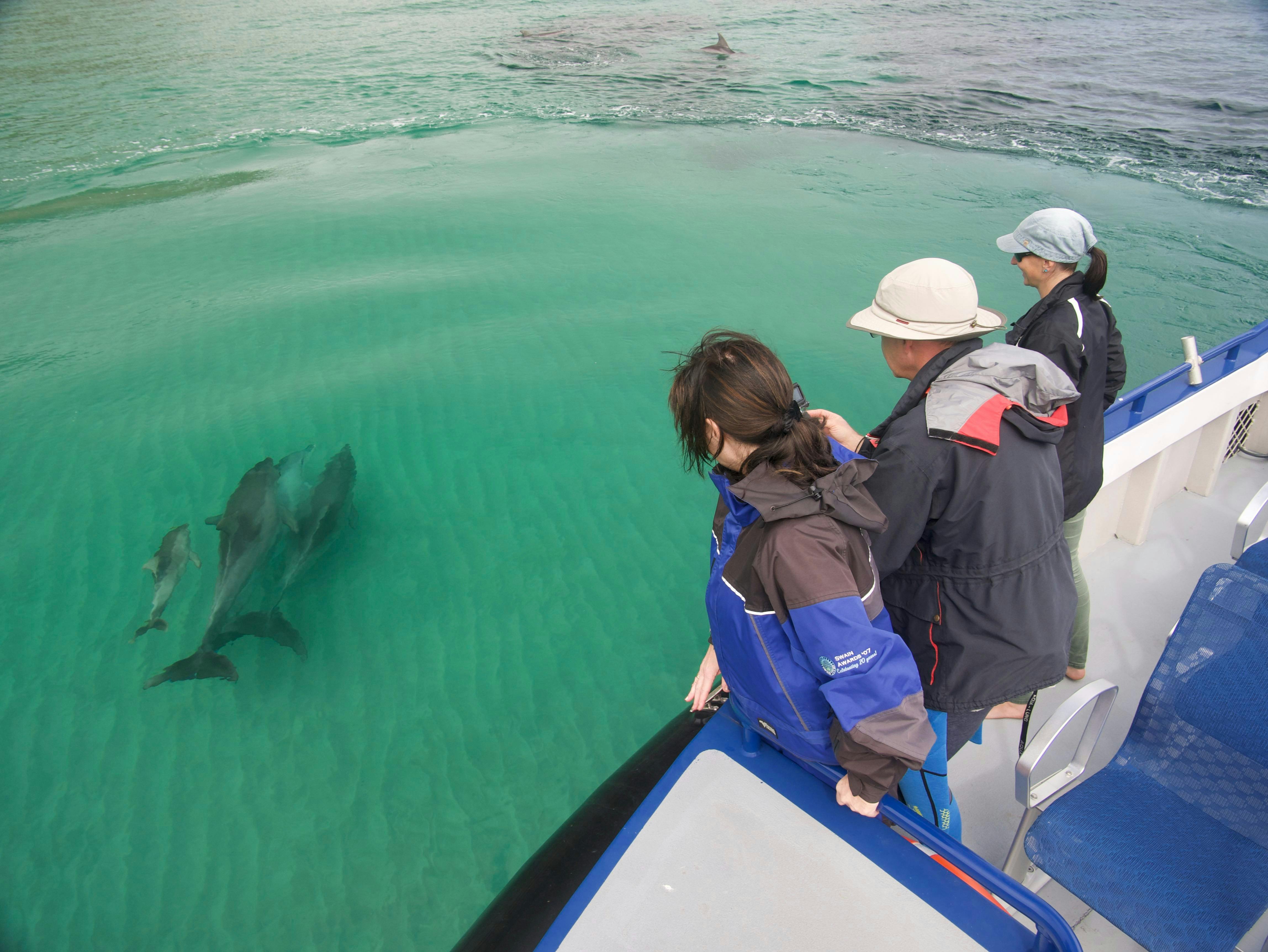 Walk Kangaroo Island - Dolphins