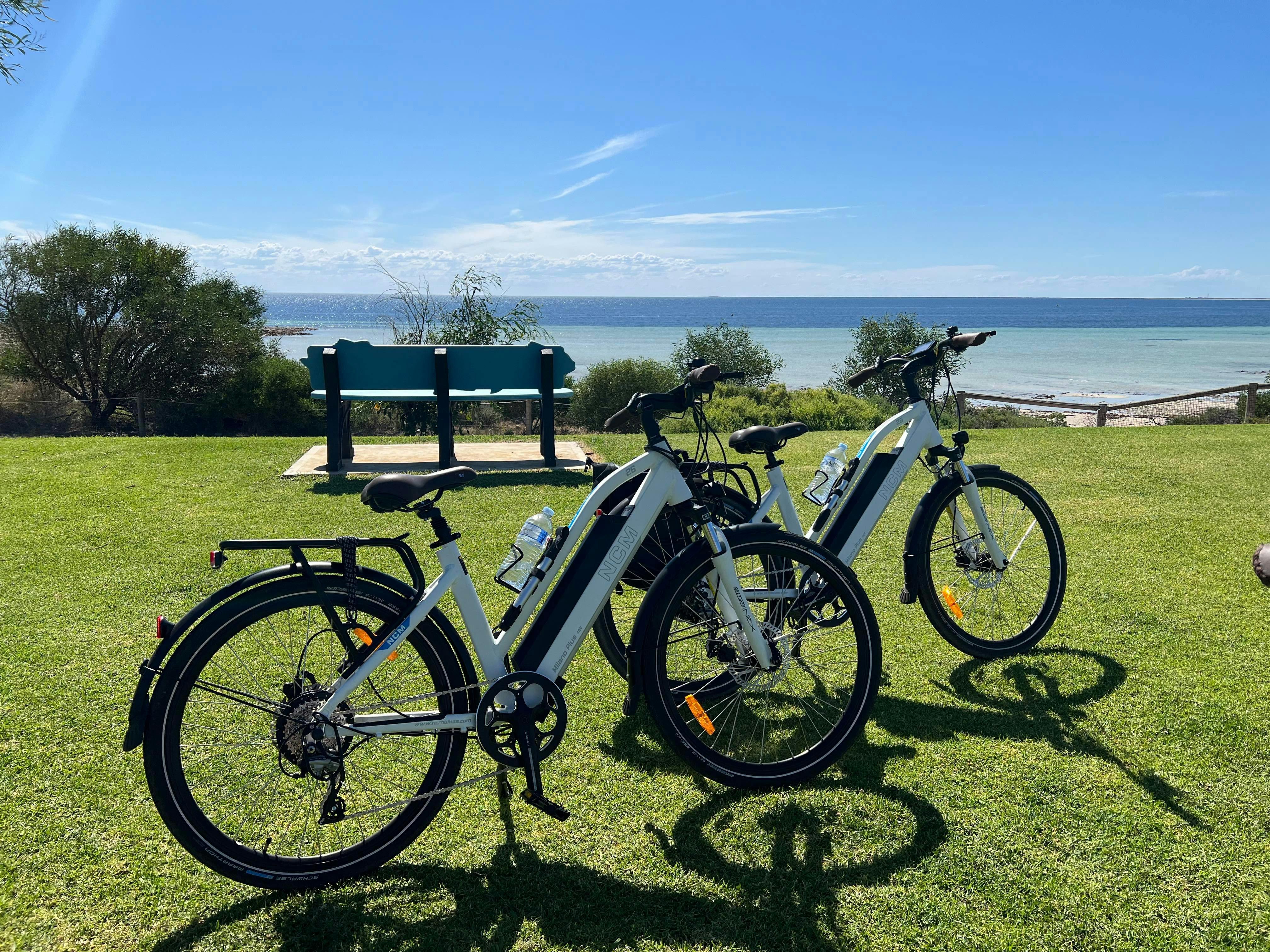 Good Quality E-Bikes