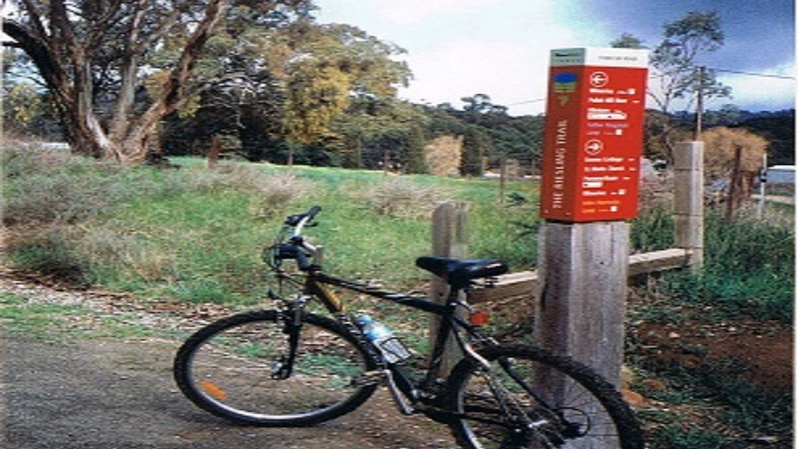 Clare Valley Cycle Hire