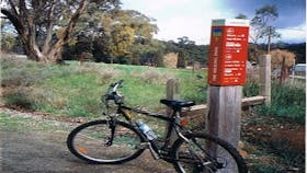 One lonely bike on the Trail