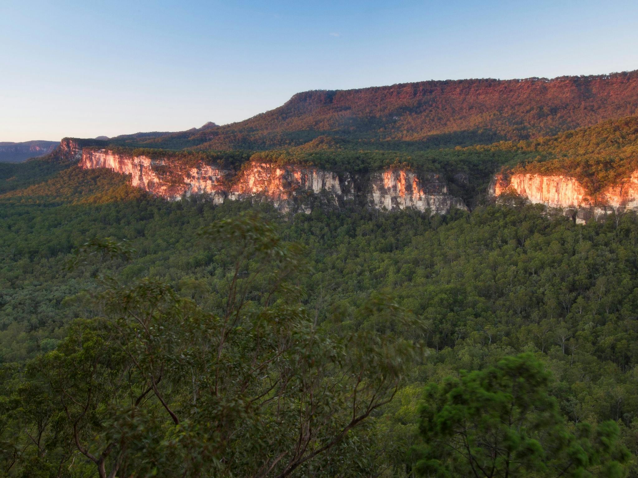Distant white cliff edge of a forested bluff is bathed in golden light at sunset. Distant white cliff edge of a forested bluff is bathed in golden light at sunset.