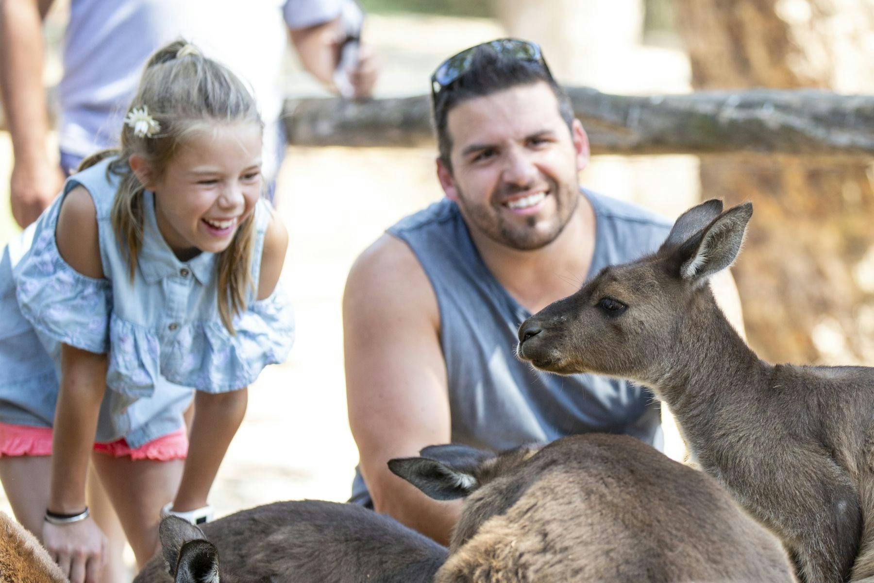Australian Wildlife Experience at Melbourne Zoo