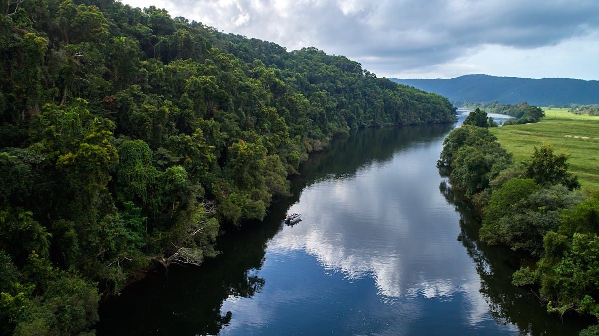 Aerial of Daintree River