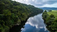 Aerial of Daintree River