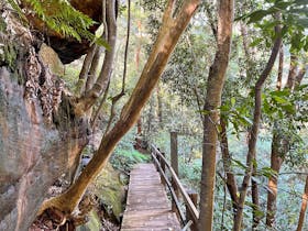 Walking track in the Northern Beaches