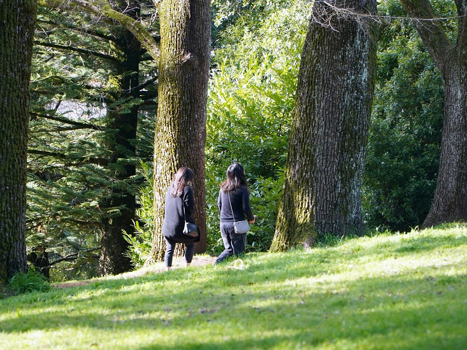 Wombat Hill Gardens