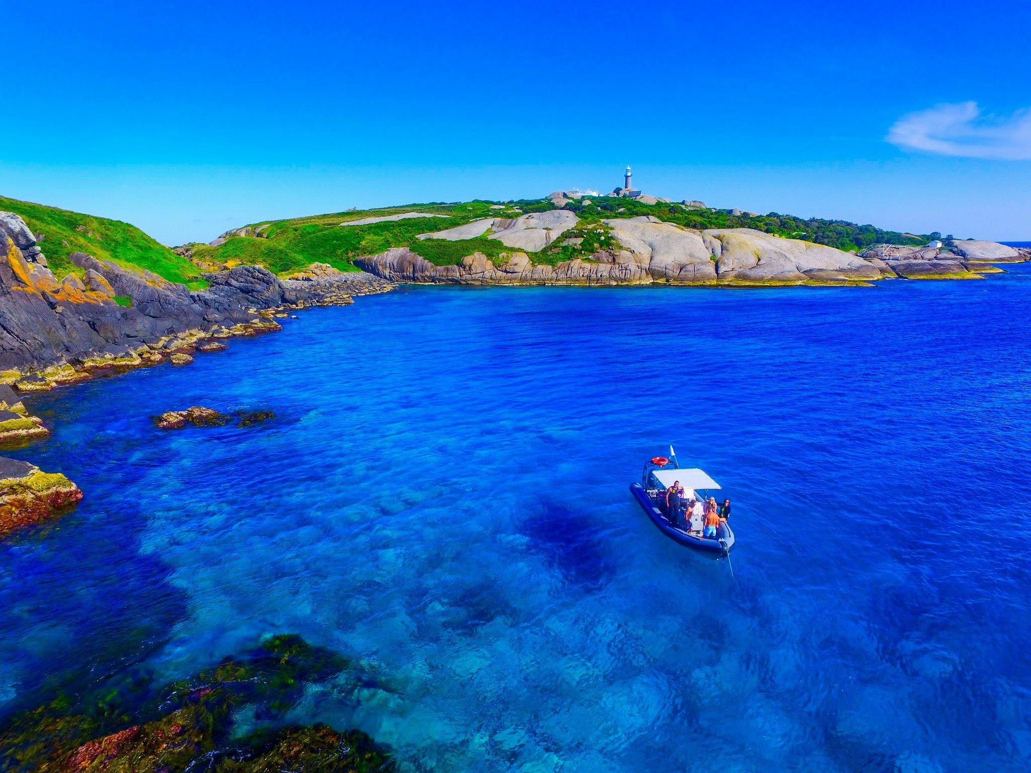 Snorkelling Montague Island