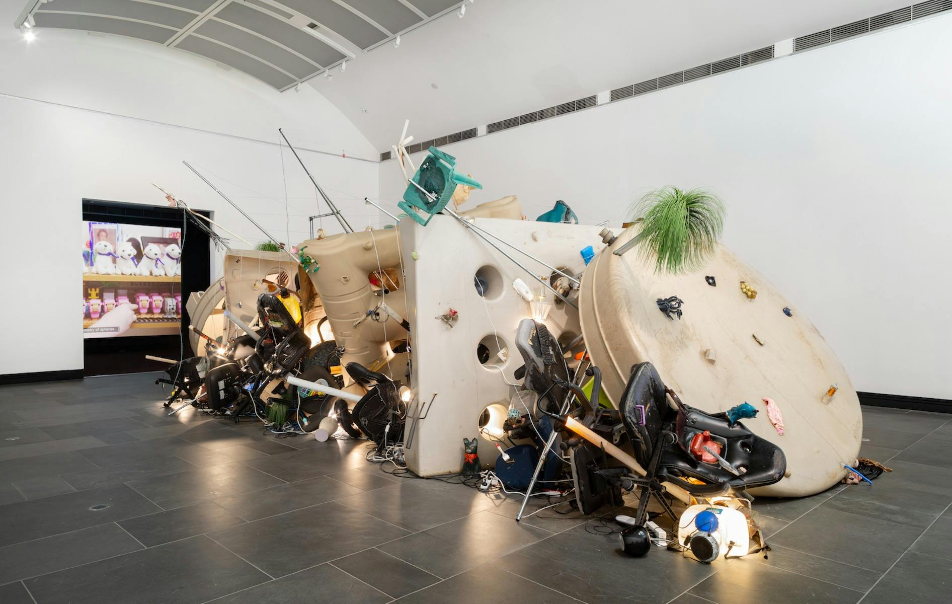 Erika Scott: Cambium Itch
