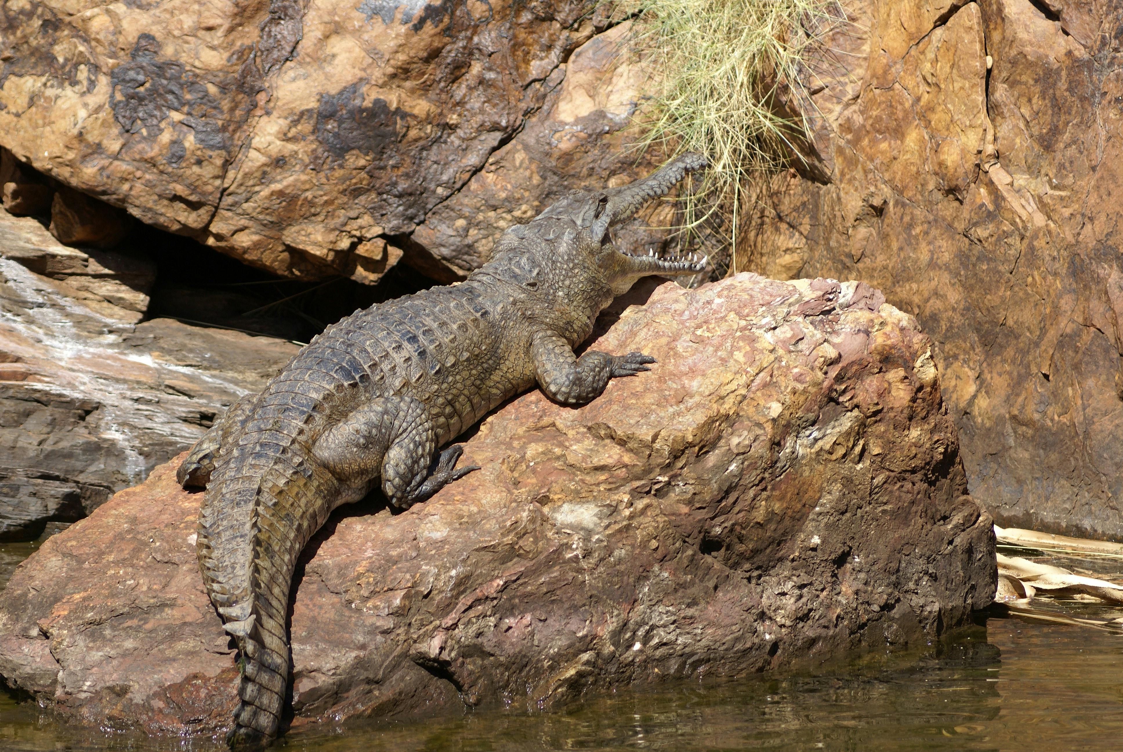 Kununurra Cruises, Kununurra, Western Australia
