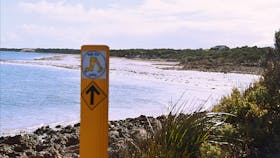 Walk the Yorke Trail