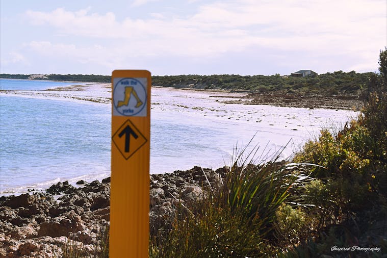 Walk the Yorke Trail