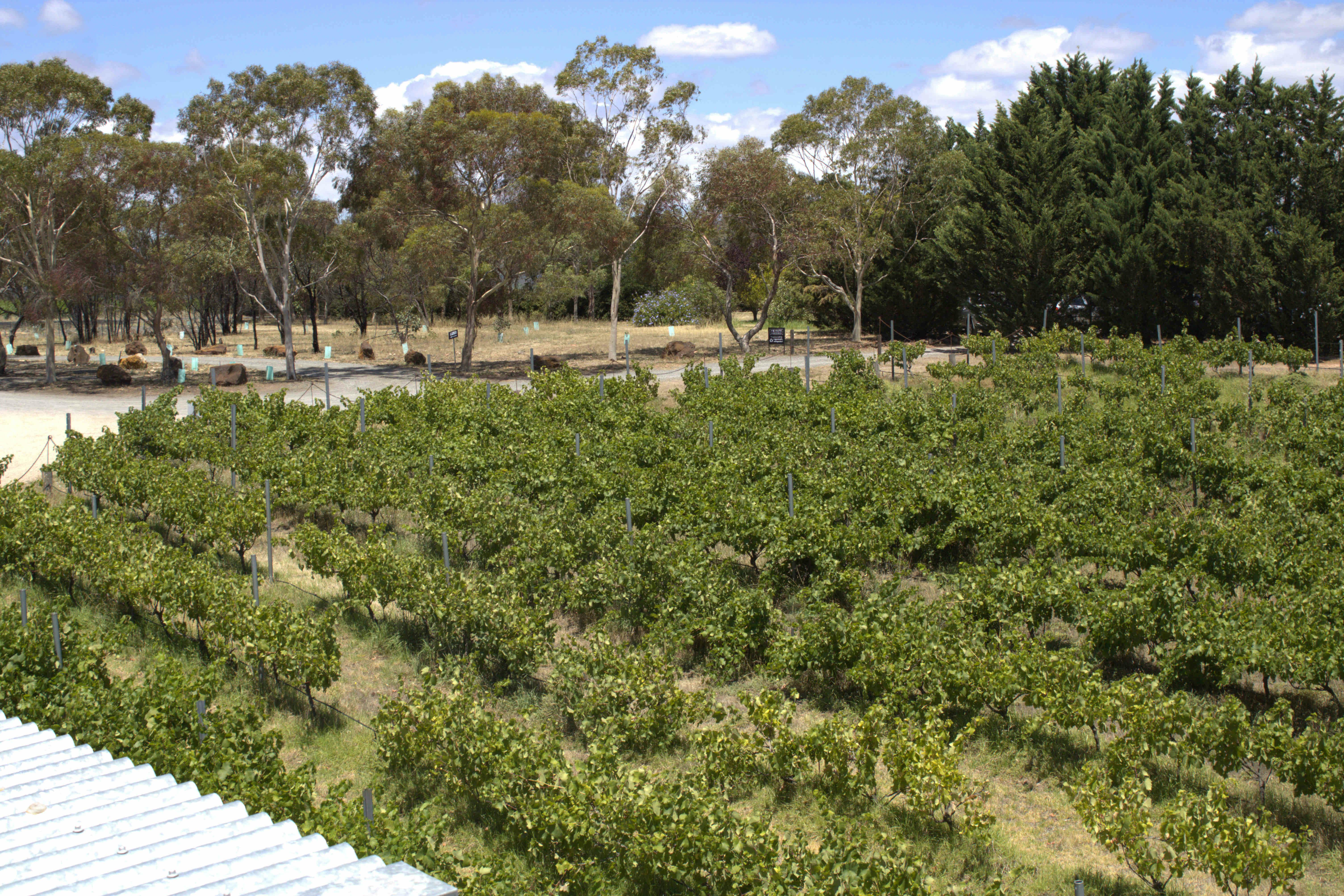All Valley Wine Tours Slider Image 2