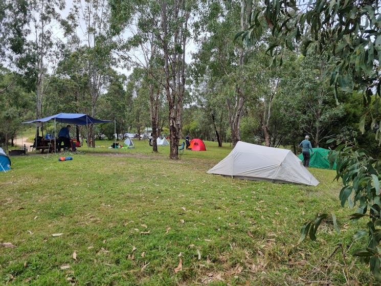Tents at Dunphy Campground Blue Mountains