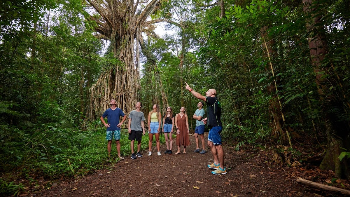 Barefoot Tours | Tropical North Queensland | Australia