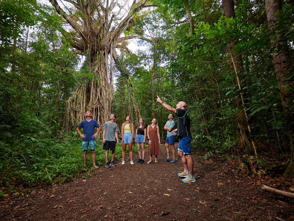 Barefoot Tours | Tropical North Queensland | Australia