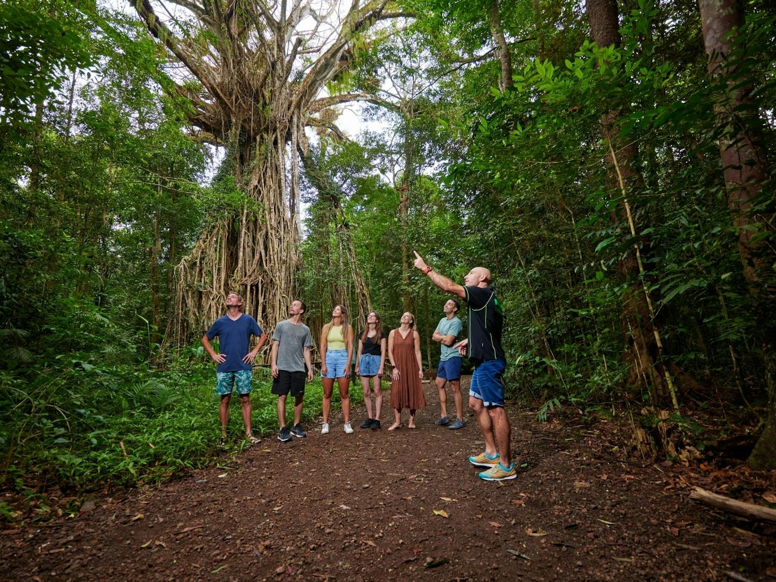 Barefoot Tours | Tropical North Queensland | Australia