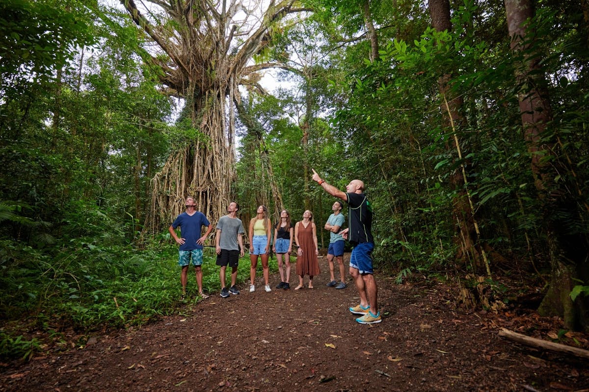 Barefoot Tours | Tropical North Queensland | Australia