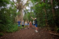 Barefoot Tours | Tropical North Queensland | Australia