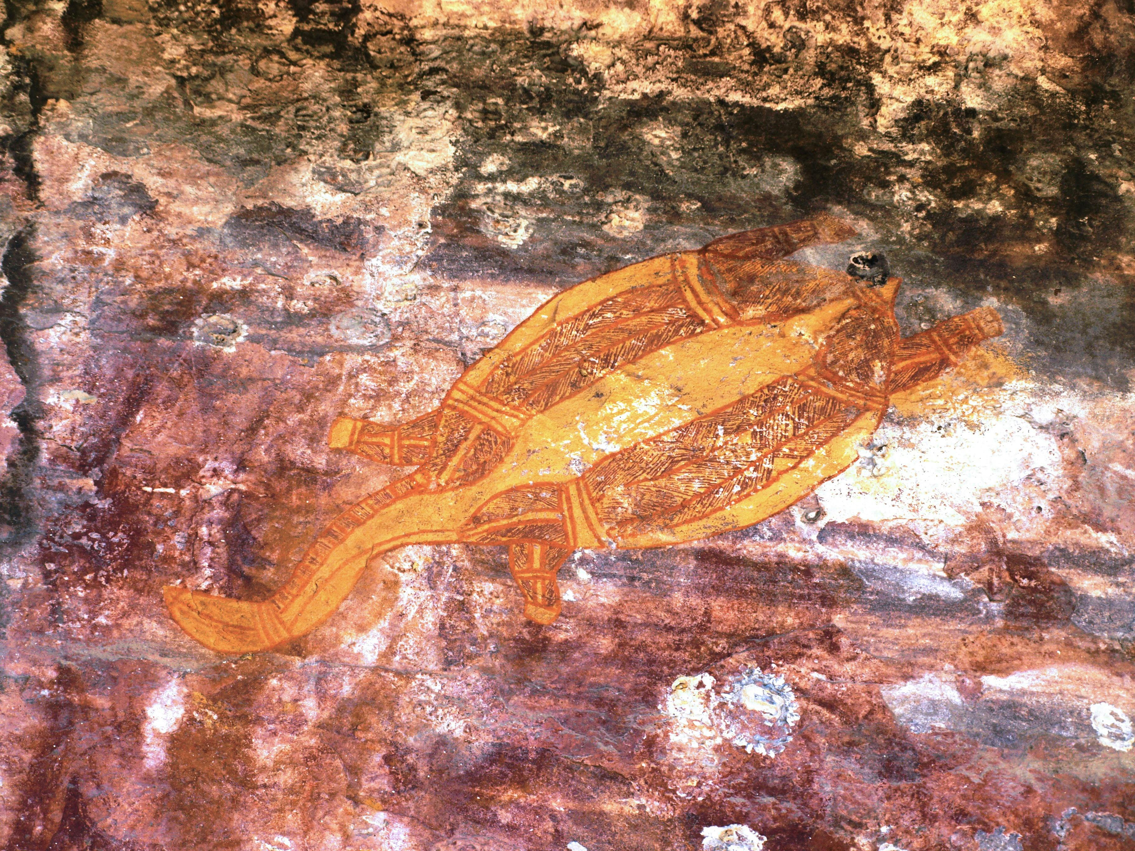 LOng Nexk Turtle painting at Ubirr Rock
