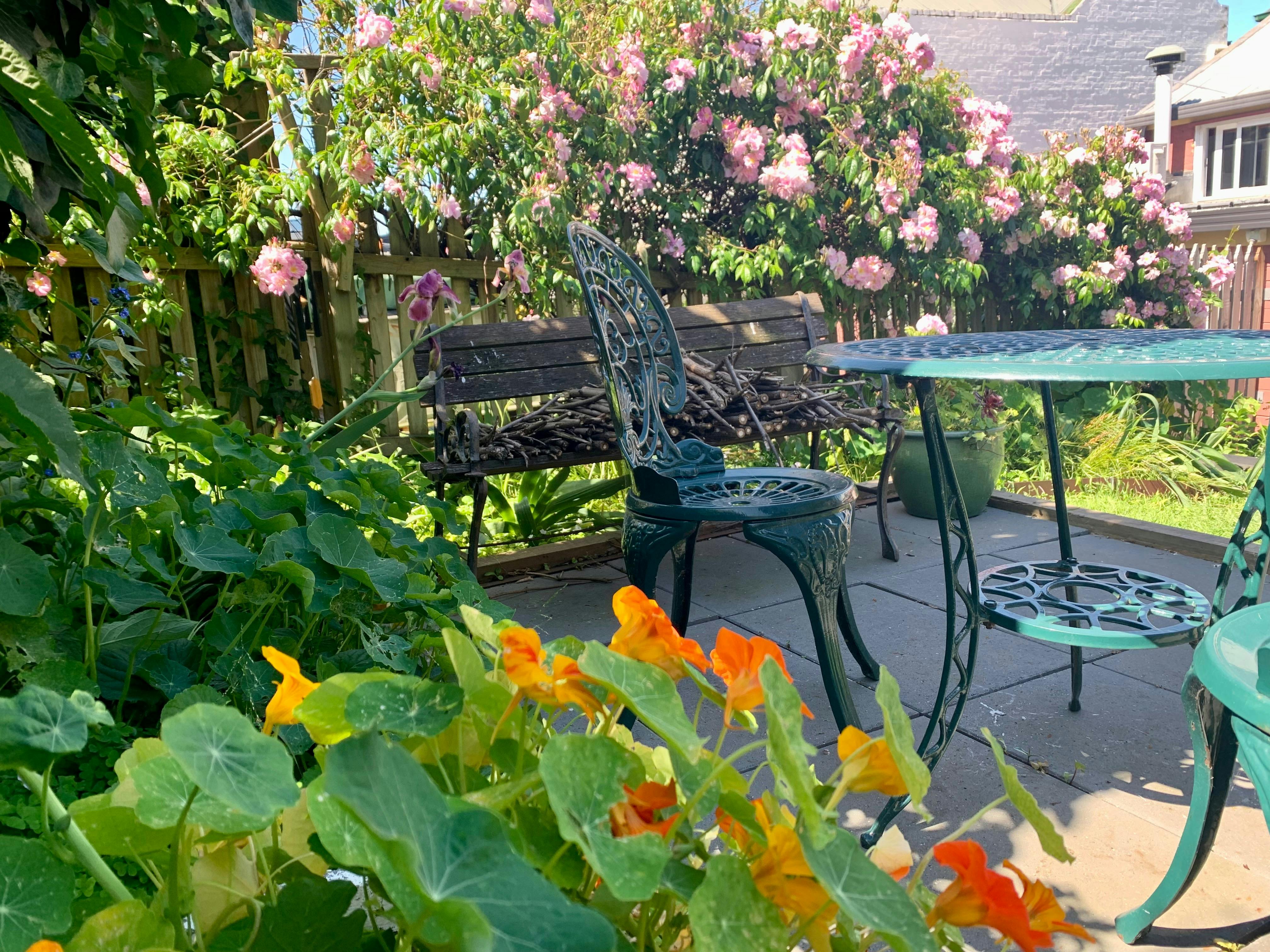 Annie’s Room, Warwick Cottages All Discover Tasmania