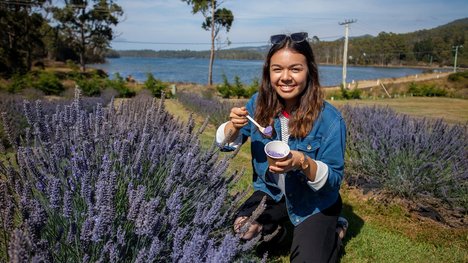 Lavender Farm