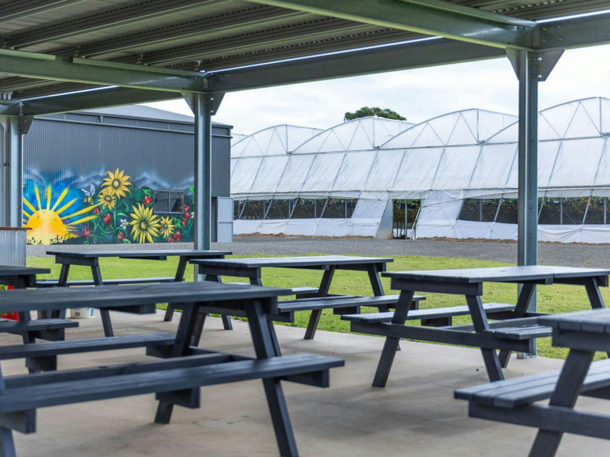 Berrylicious Strawberries Seating Area