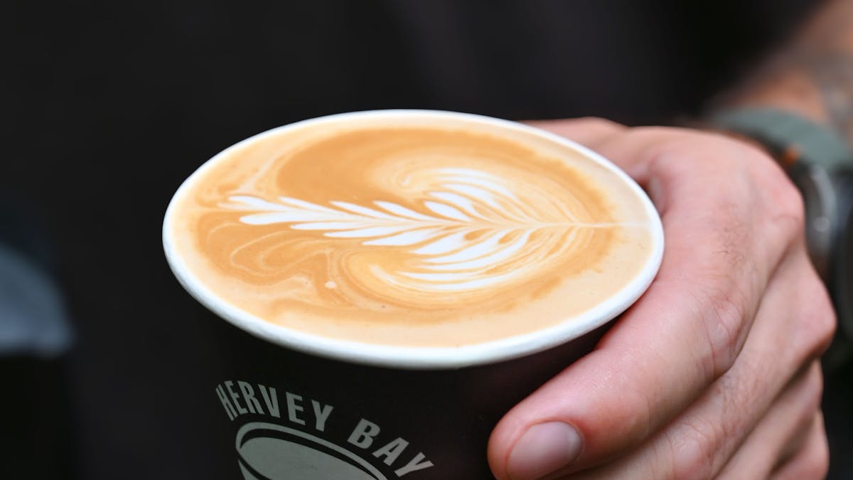 Coffee, Bamboo Land, Hervey Bay Coffee,
