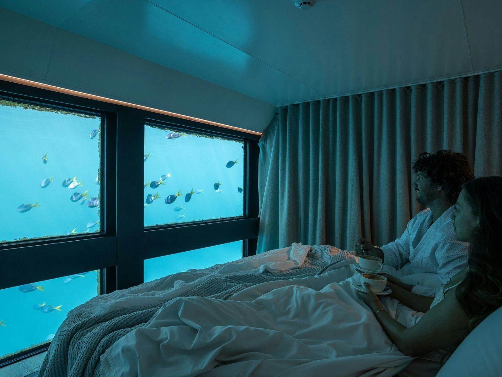 A couple in bed in the underwater rooms watching the fish