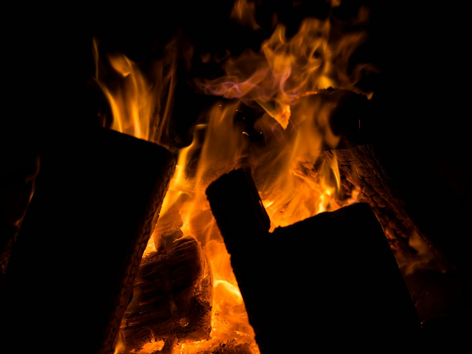 Bonfire burning in the dark night