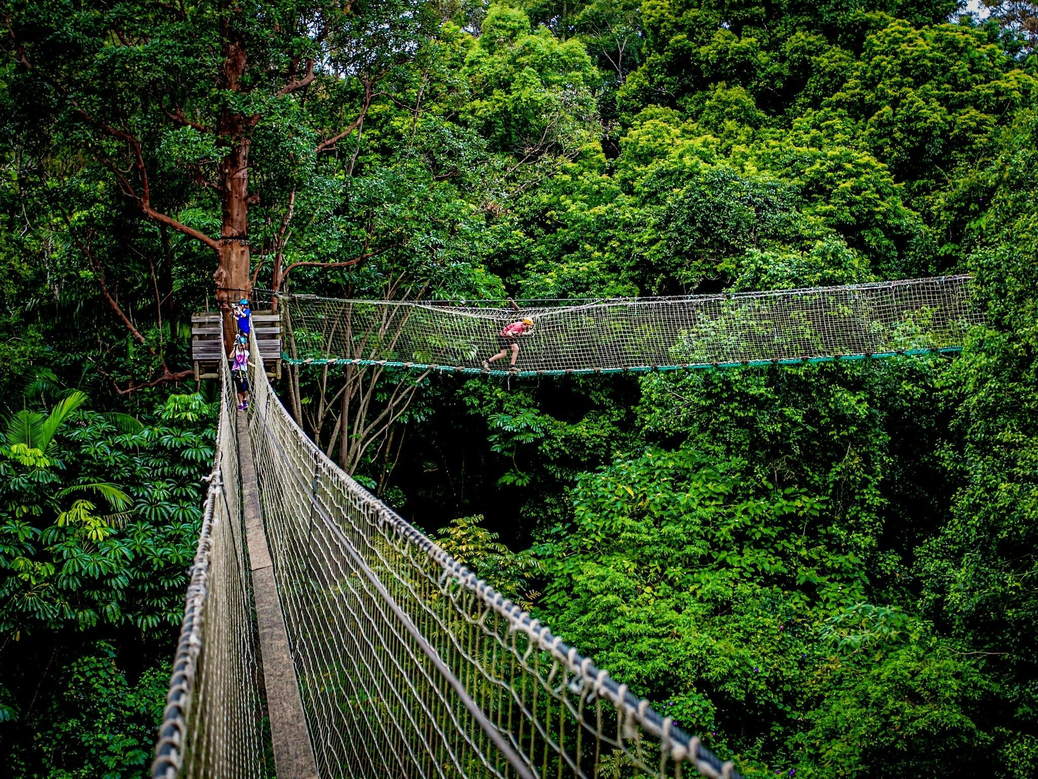 Tamborine Mountain Hop on Hop off bus from the Gold Coast