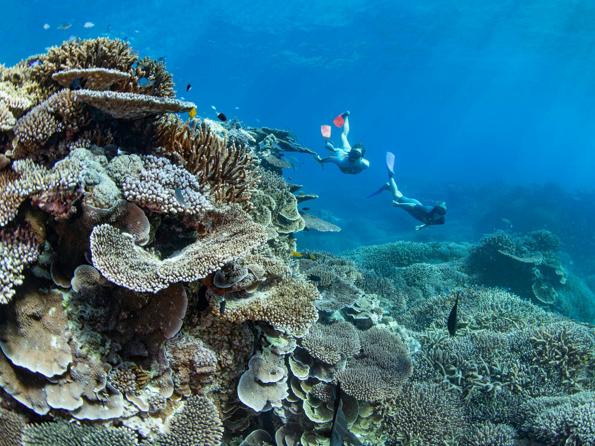 Southern Great Barrier Reef Southern Great Barrier Reef