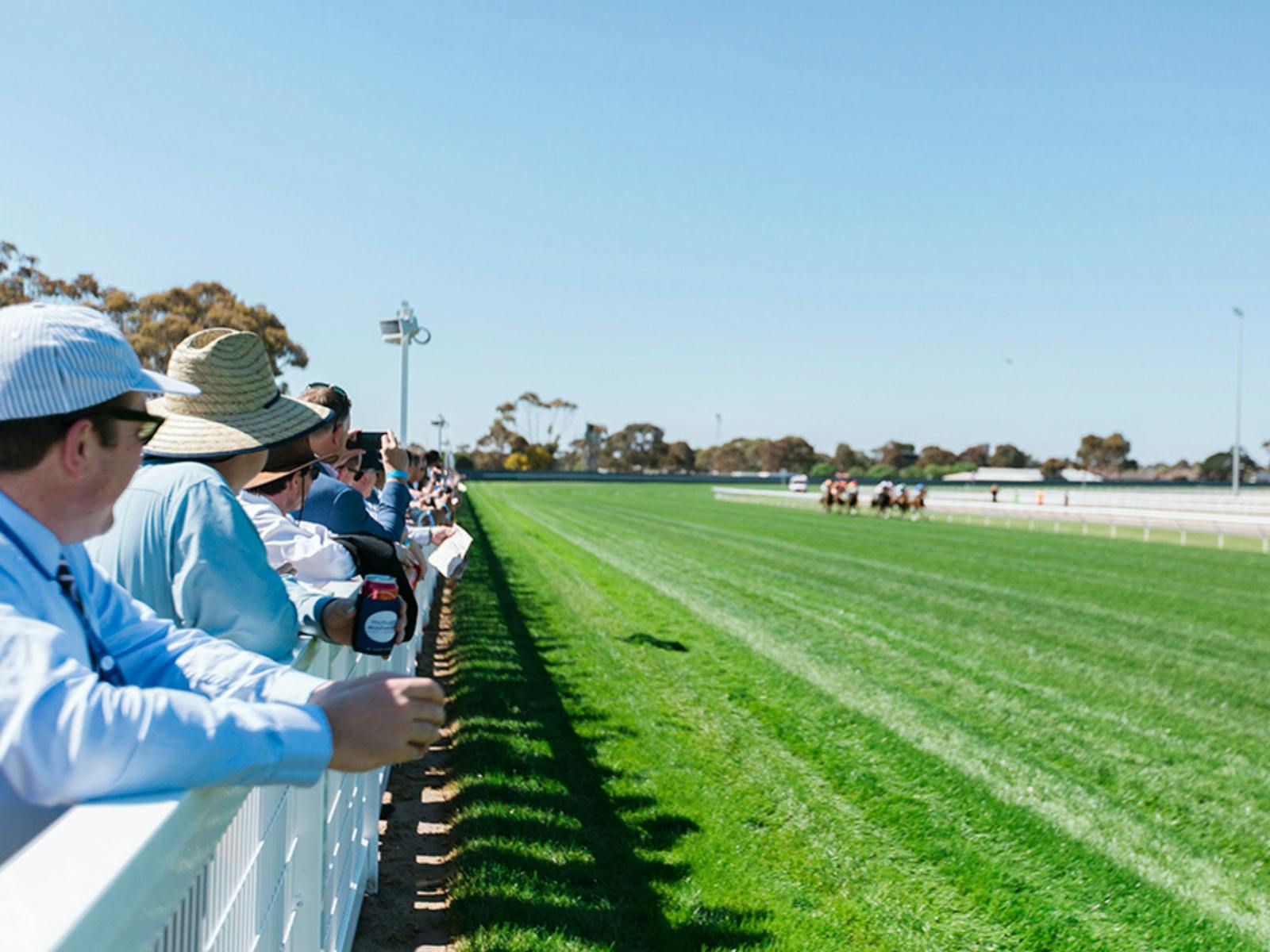 The Geelong Racing Club offers up close experience of the horse racing action