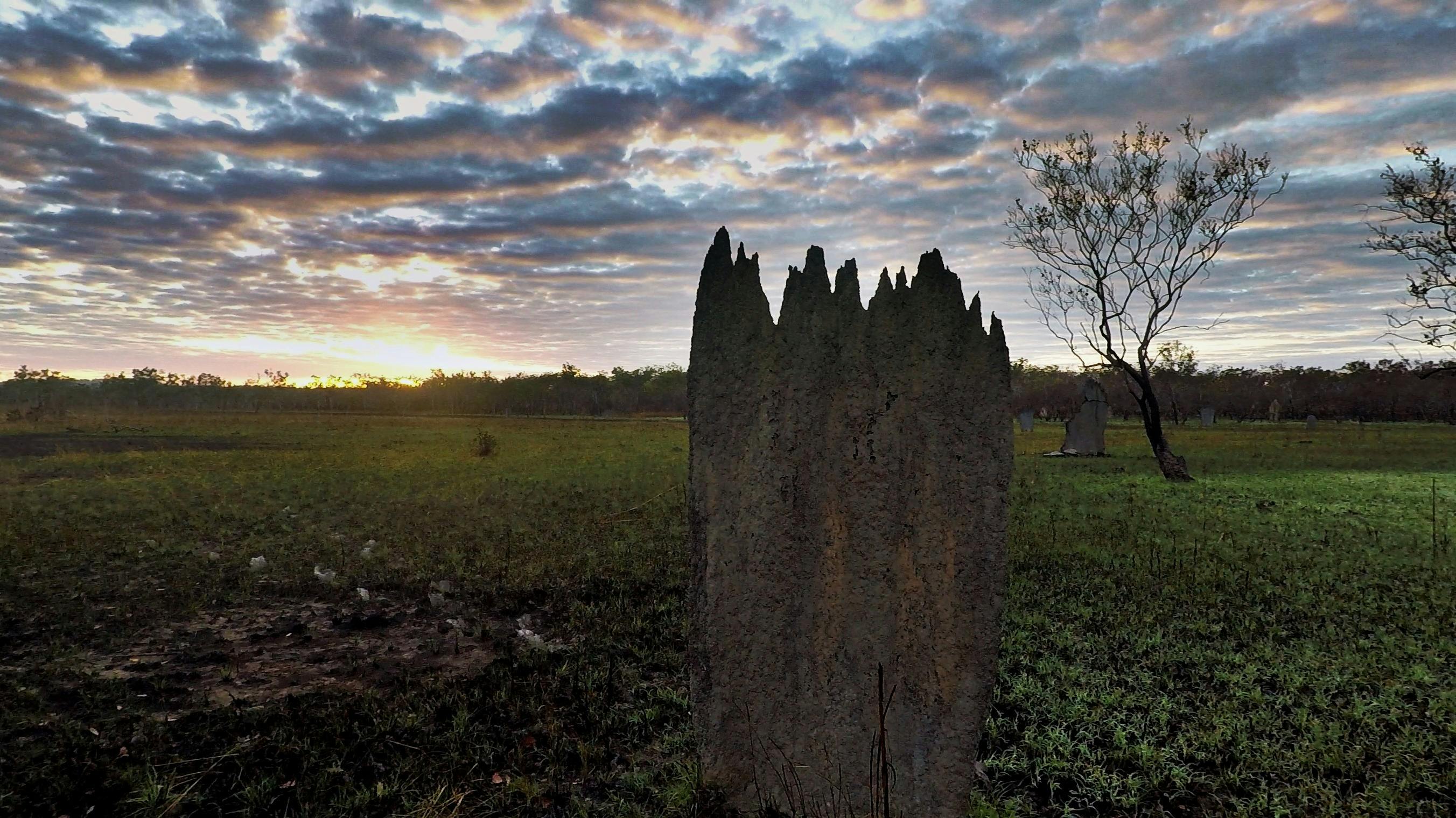 Sunrise on Magnetic Termite Mounds Litchfield NT