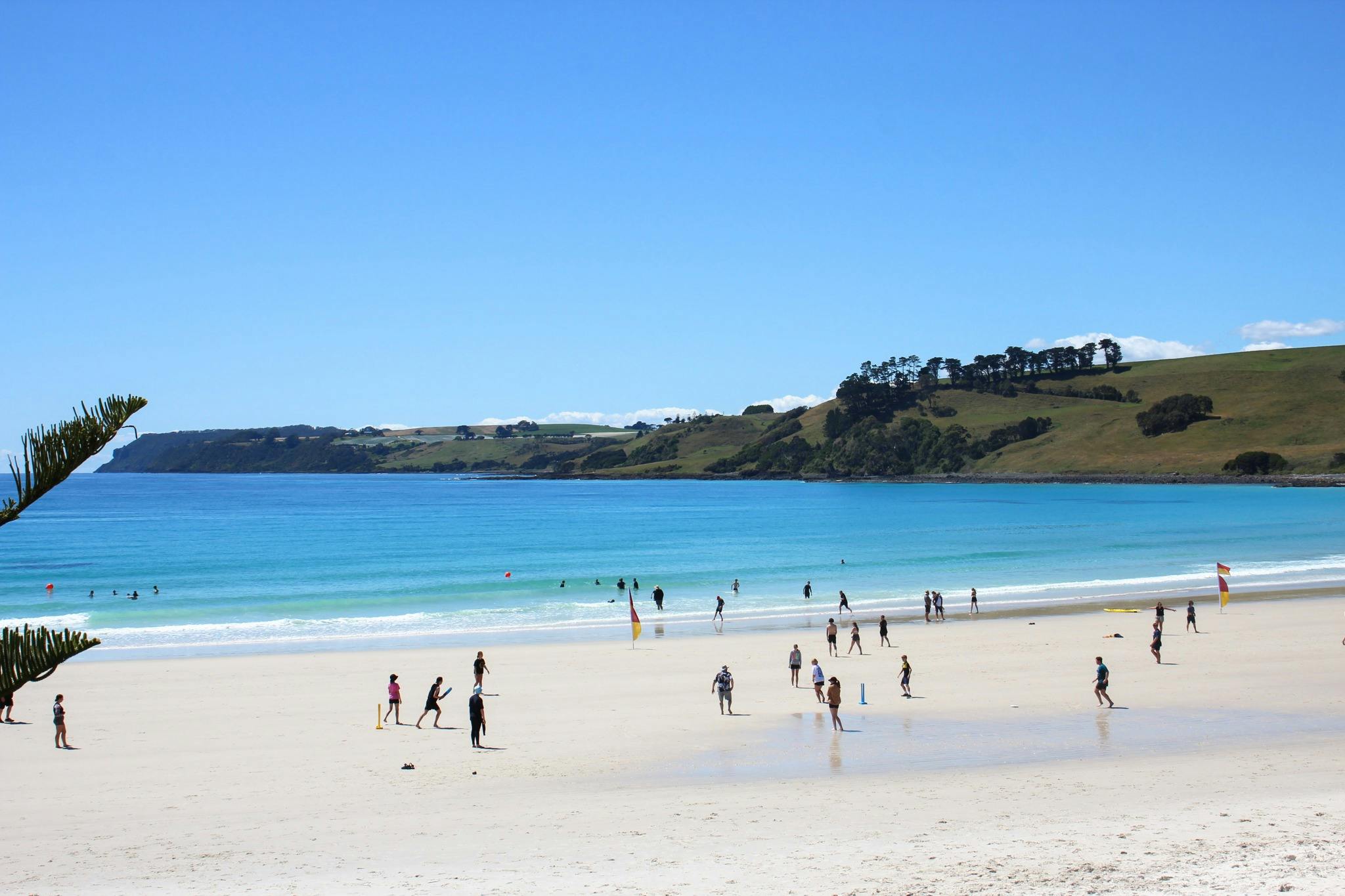Boat Harbour Beach - Tasmania - whitest sand and clearest water