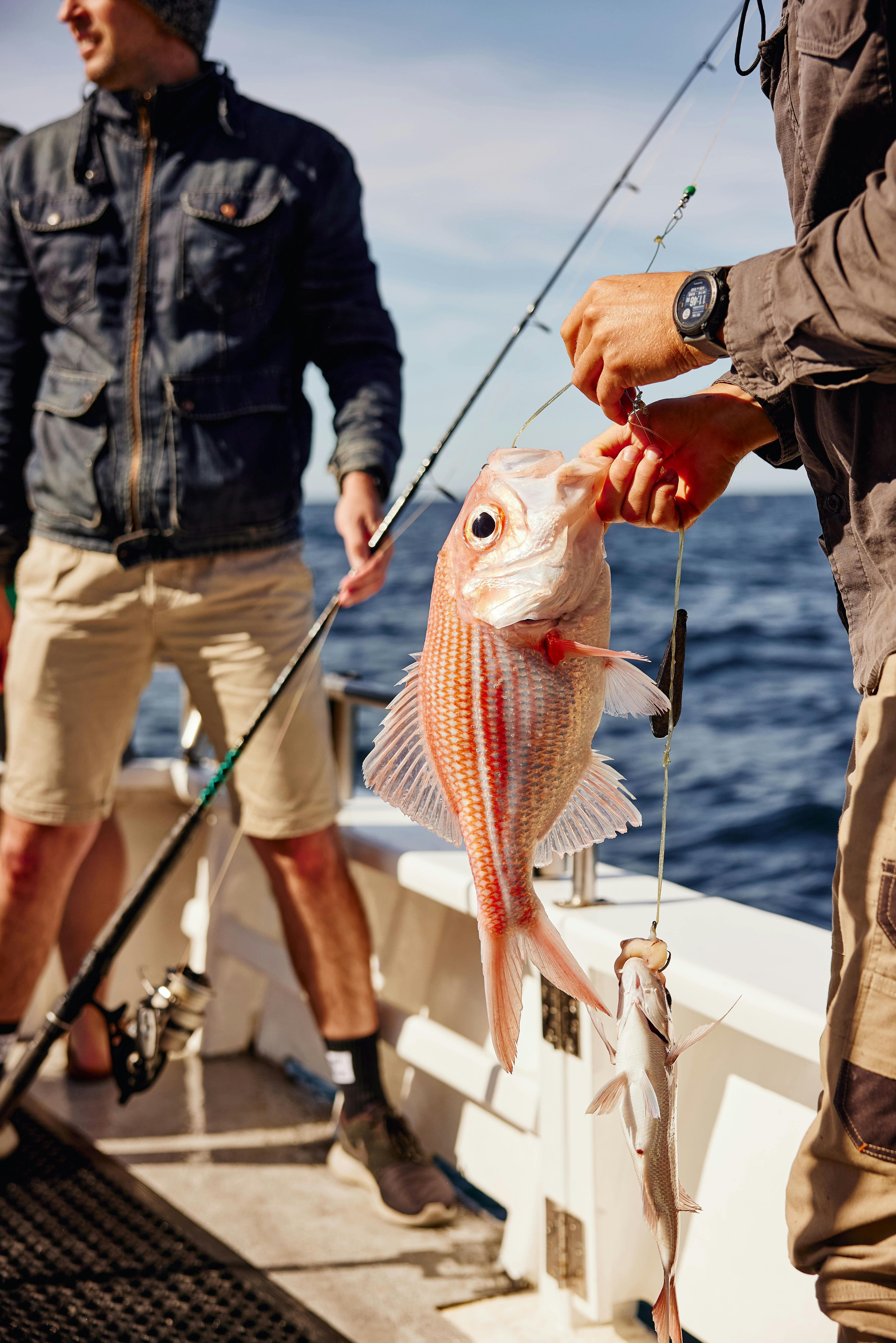 Nannigay caught onboard Reef Encounters Fishing Charters