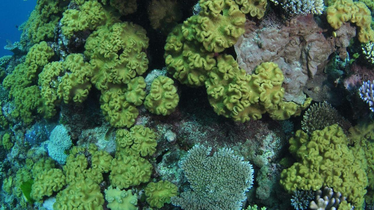 Keeper Reef