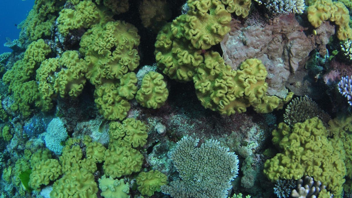 Keeper Reef