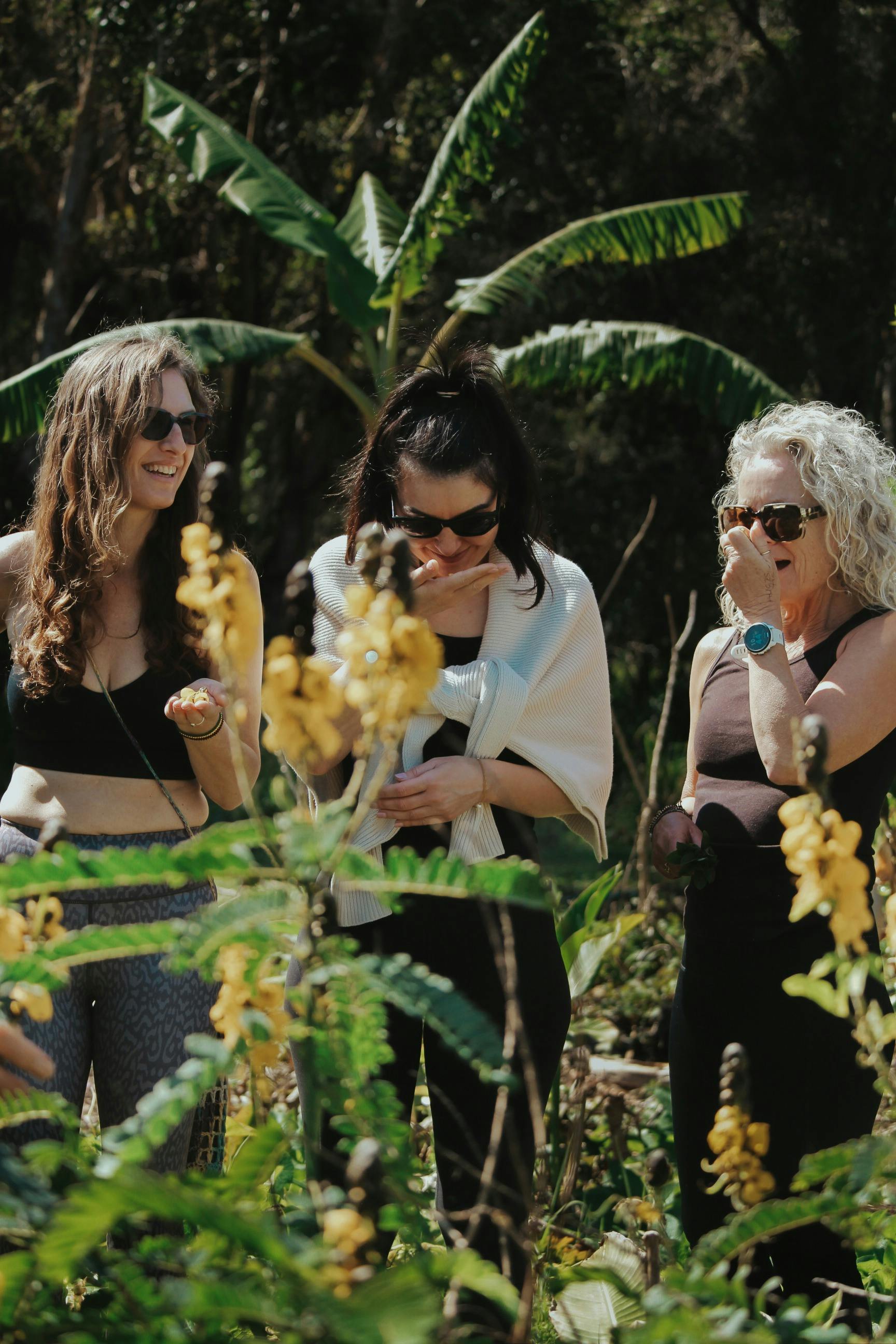 Garden Tour Experience