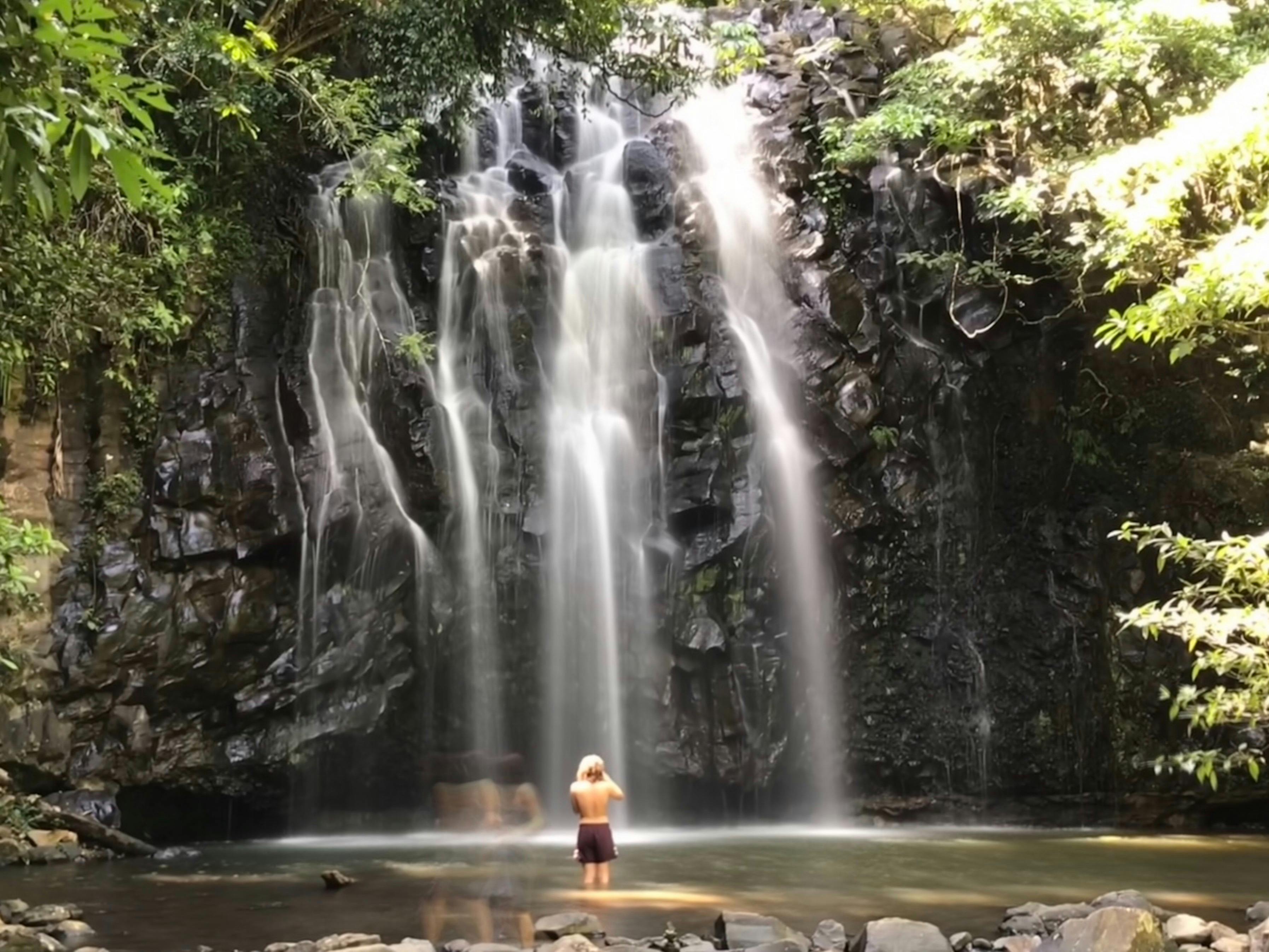 Welcome to paradise on tour with Tablelands Tours