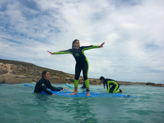 School Holidays Kids Dolphin and Ship Wreck Adventure