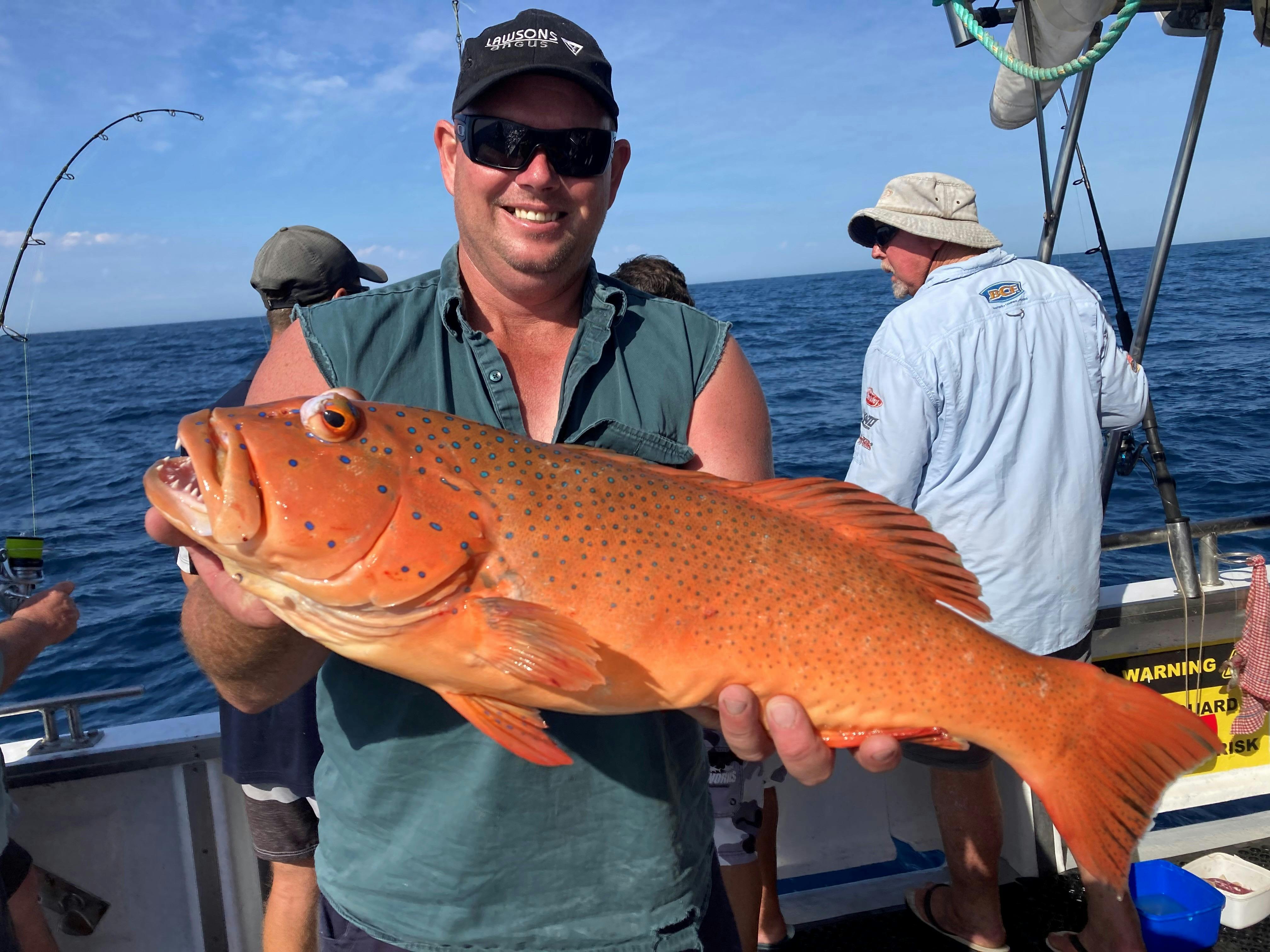 Coral Trout Abrolhos Fishing