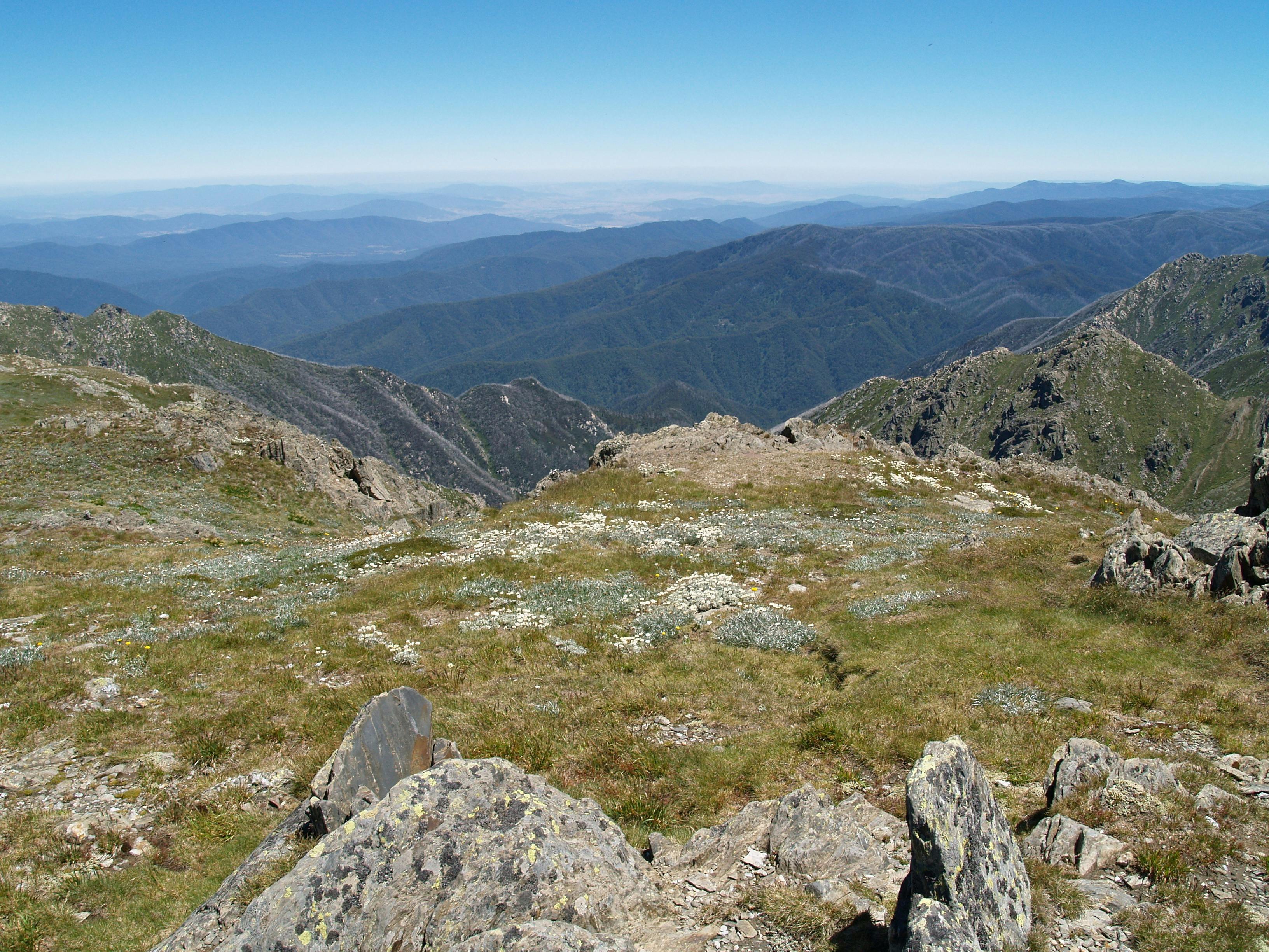 walking on Snowy mts group guided