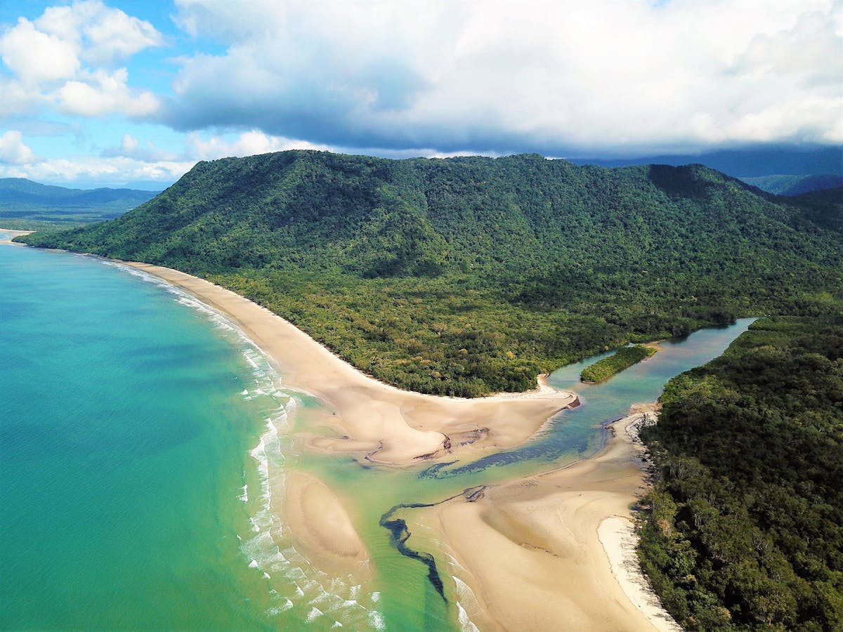 Daintree Rainforest tours