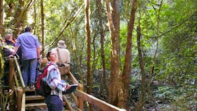 Copeland Hidden Treasures Tours