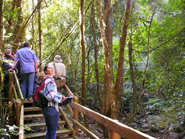 Copeland Historic Gold Mine Tour