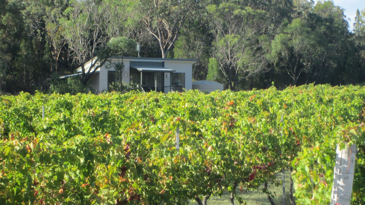 Syrah cabin from vineyard