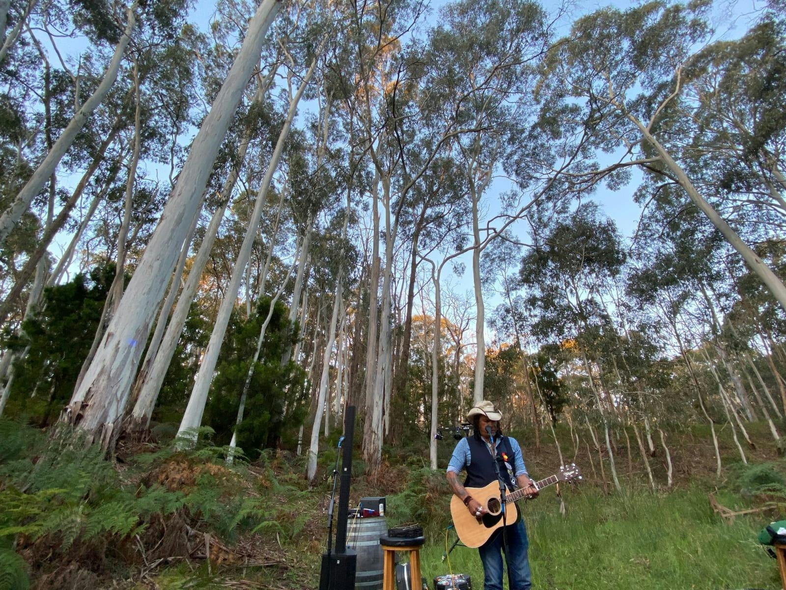 Glenn Skuthorpe playing in Sinclair's Gully  forest