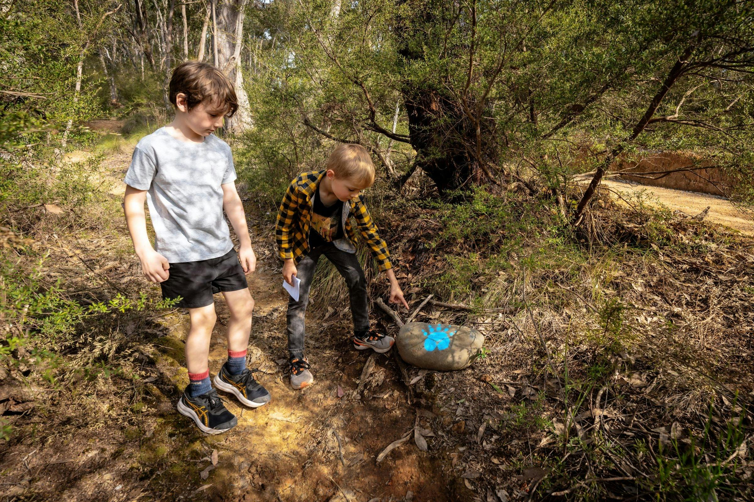 Jamieson Paw Prints Walk