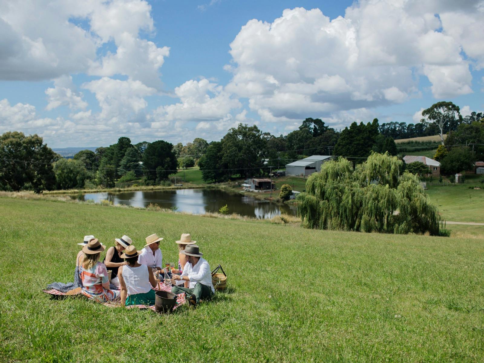 Group of people enjoying picnic